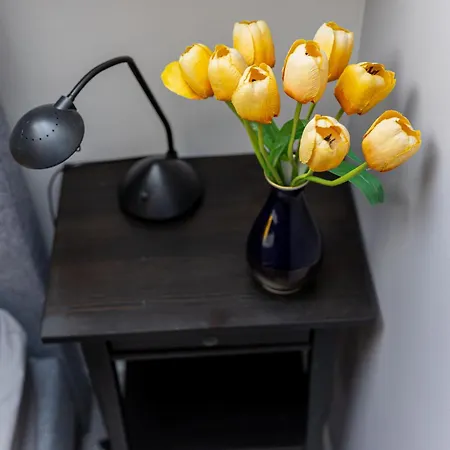 Silver By Bltn Apartment Zamardi